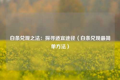 白条兑现之法：探寻适宜途径（白条兑现最简单方法）