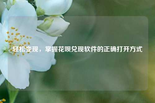 轻松变现，掌握花呗兑现软件的正确打开方式