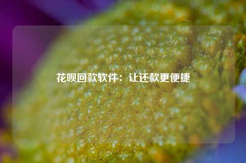 花呗回款软件：让还款更便捷