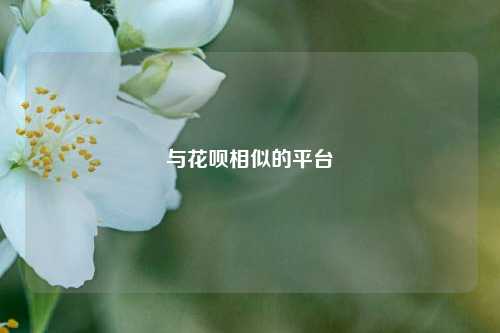 与花呗相似的平台