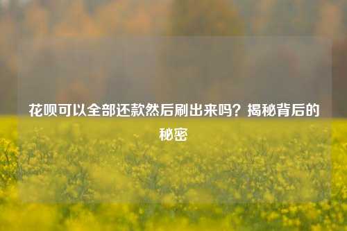 花呗可以全部还款然后刷出来吗？揭秘背后的秘密