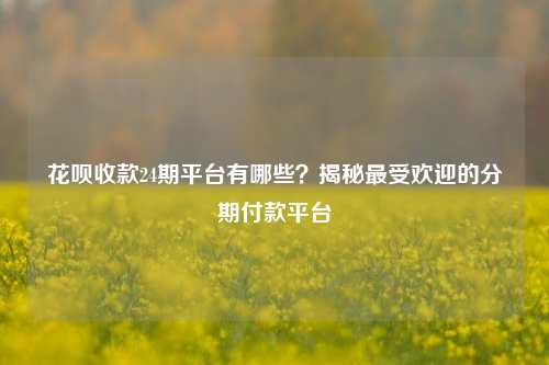 花呗收款24期平台有哪些？揭秘最受欢迎的分期付款平台