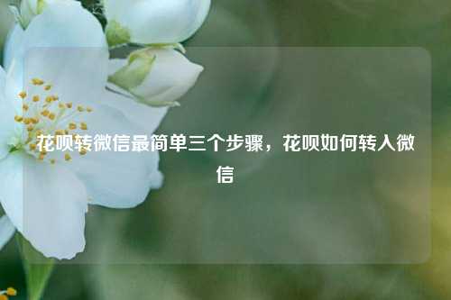 花呗转微信最简单三个步骤，花呗如何转入微信