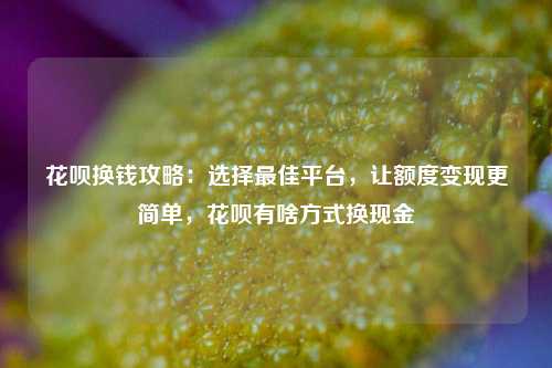 花呗换钱攻略：选择最佳平台，让额度变现更简单，花呗有啥方式换现金