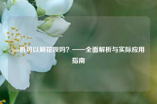 pos机可以刷花呗吗？——全面解析与实际应用指南