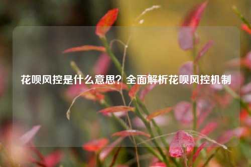 花呗风控是什么意思？全面解析花呗风控机制