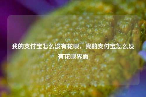 我的支付宝怎么没有花呗，我的支付宝怎么没有花呗界面