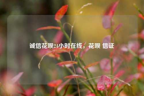 诚信花呗24小时在线，花呗 信证