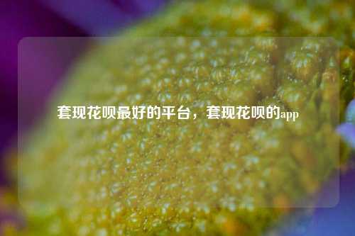 套现花呗最好的平台，套现花呗的app