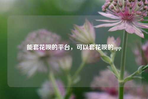 能套花呗的平台，可以套花呗的app