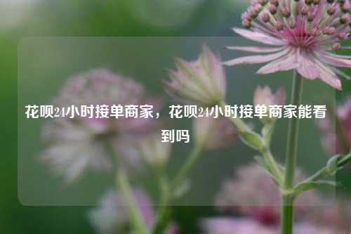 花呗24小时接单商家，花呗24小时接单商家能看到吗