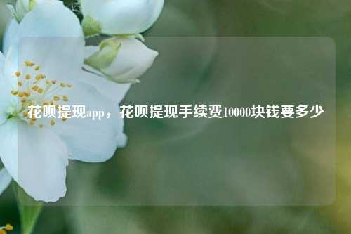 花呗提现app，花呗提现手续费10000块钱要多少