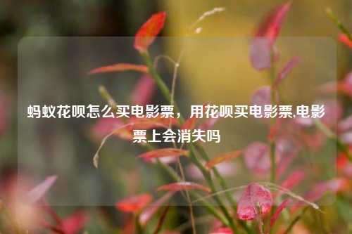 蚂蚁花呗怎么买电影票，用花呗买电影票,电影票上会消失吗