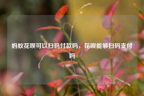 蚂蚁花呗可以扫码付款吗，花呗能够扫码支付吗