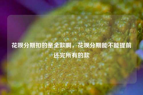 花呗分期扣的是全款啊，花呗分期能不能提前还完所有的款