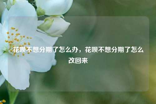 花呗不想分期了怎么办，花呗不想分期了怎么改回来