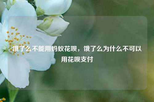 饿了么不能用蚂蚁花呗，饿了么为什么不可以用花呗支付