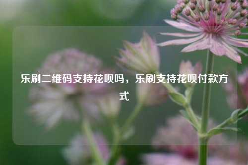 乐刷二维码支持花呗吗，乐刷支持花呗付款方式