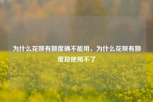 为什么花呗有额度确不能用，为什么花呗有额度却使用不了