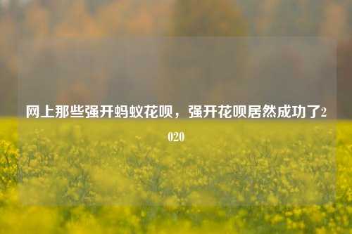 网上那些强开蚂蚁花呗，强开花呗居然成功了2020