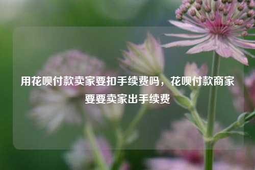 用花呗付款卖家要扣手续费吗，花呗付款商家要要卖家出手续费