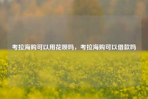 考拉海购可以用花呗吗，考拉海购可以借款吗