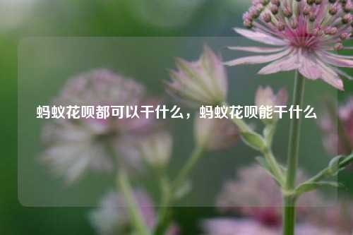 蚂蚁花呗都可以干什么，蚂蚁花呗能干什么