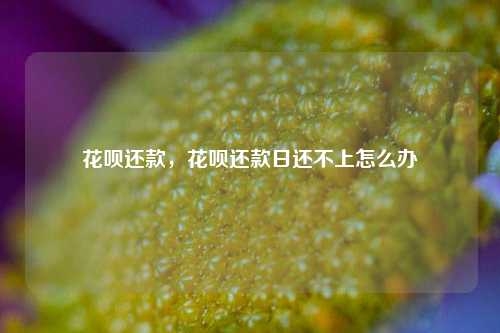 花呗还款，花呗还款日还不上怎么办