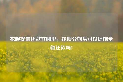 花呗提前还款在哪里，花呗分期后可以提前全额还款吗?