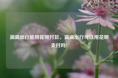 滴滴出行能用花呗付款，滴滴出行可以用花呗支付吗?