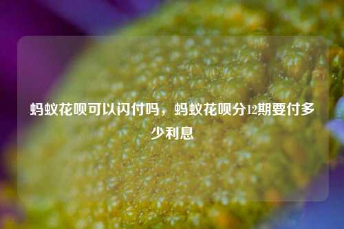 蚂蚁花呗可以闪付吗，蚂蚁花呗分12期要付多少利息