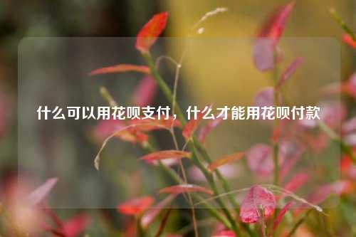 什么可以用花呗支付，什么才能用花呗付款