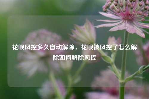 花呗风控多久自动解除，花呗被风控了怎么解除如何解除风控