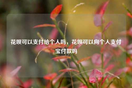 花呗可以支付给个人吗，花呗可以向个人支付宝付款吗