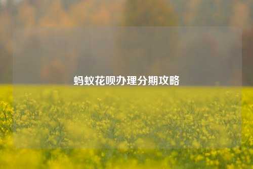 蚂蚁花呗办理分期攻略