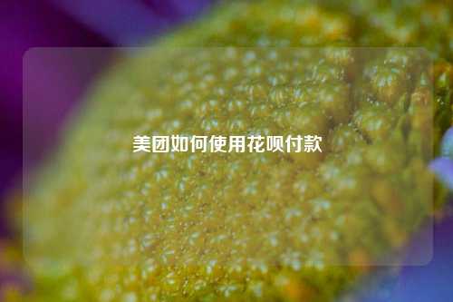 美团如何使用花呗付款