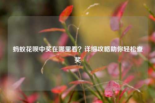 蚂蚁花呗中奖在哪里看？详细攻略助你轻松查奖