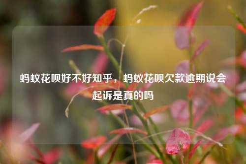 蚂蚁花呗好不好知乎，蚂蚁花呗欠款逾期说会起诉是真的吗