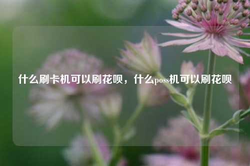 什么刷卡机可以刷花呗，什么poss机可以刷花呗