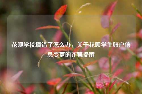 花呗学校填错了怎么办，关于花呗学生账户信息变更的诈骗提醒