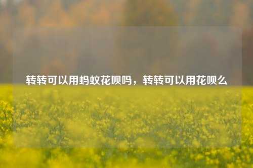 转转可以用蚂蚁花呗吗，转转可以用花呗么