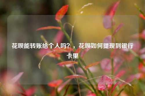 花呗能转账给个人吗？，花呗如何提现到银行卡里