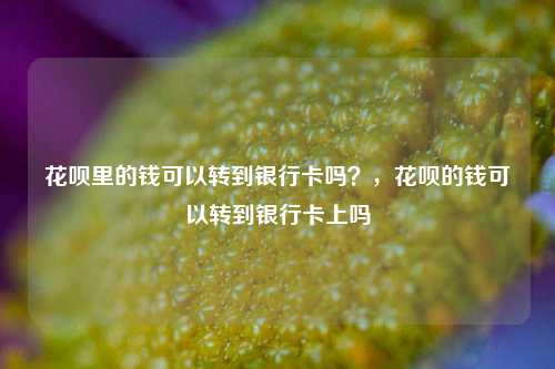 花呗里的钱可以转到银行卡吗？，花呗的钱可以转到银行卡上吗