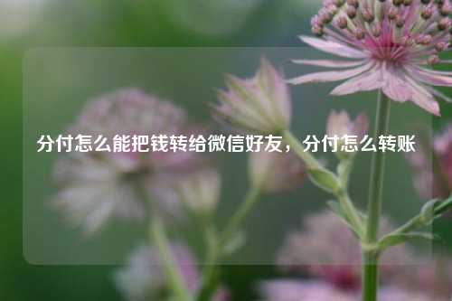 分付怎么能把钱转给微信好友，分付怎么转账