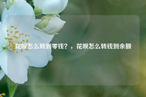 花呗怎么转到零钱？，花呗怎么转钱到余额