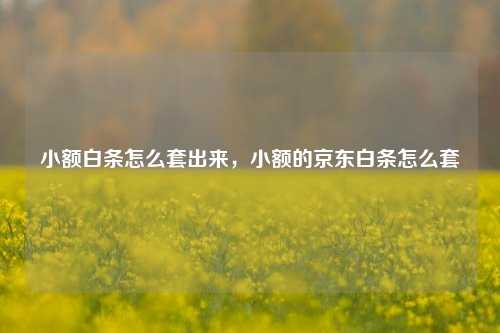 小额白条怎么套出来，小额的京东白条怎么套