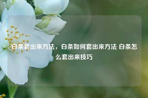 白条套出来方法，白条如何套出来方法 白条怎么套出来技巧