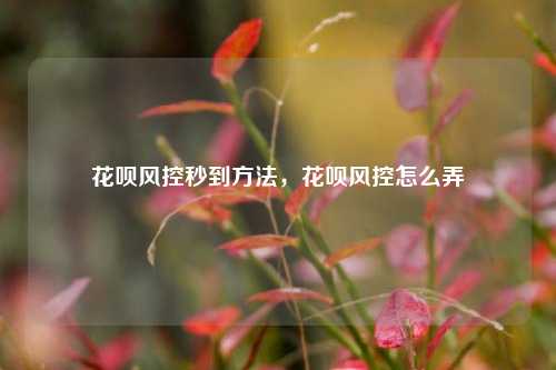 花呗风控秒到方法，花呗风控怎么弄