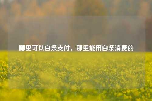 哪里可以白条支付，那里能用白条消费的