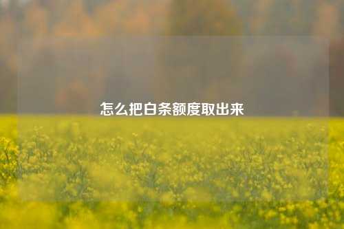 怎么把白条额度取出来